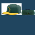Player Hat 2025 PTS20 PULSE R-FLEX