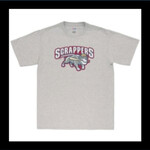 Mahoning Valley Scrappers