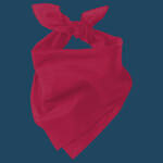 Cotton Bandana