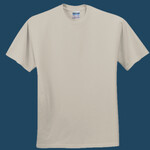 Heavy Cotton 100% Cotton T Shirt