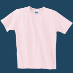 Ladies Crewneck T Shirt