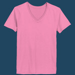 Ladies V Neck T Shirt