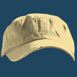 Distressed Military Hat