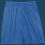 Sport Tek Youth Mesh Short