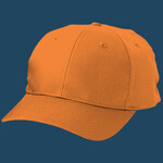 Youth 6 Panel Twill Cap