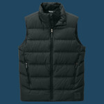 Coldsnap Down Vest