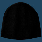 Price Point Beanie