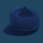 Pro-Baseball On Field Cap