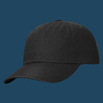 Sustainable Ashland Dad Hat